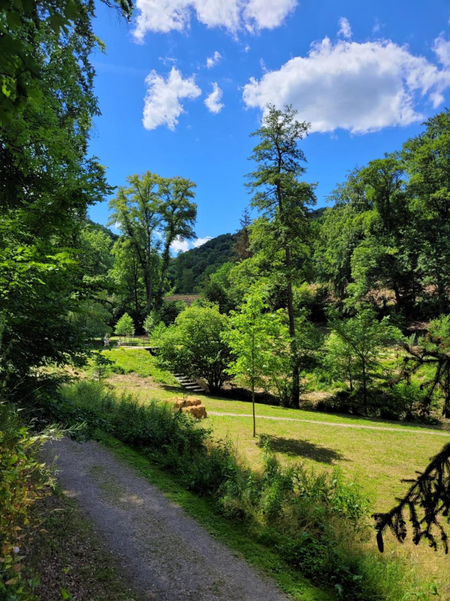 Urlaub Am Rhein, Ferienwohnung Mit Garten Boppard Exterior foto