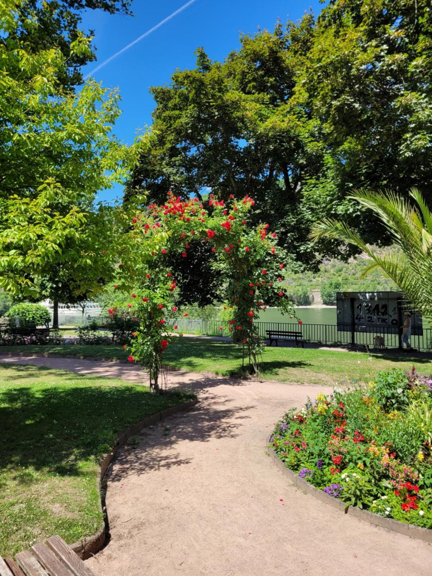 Urlaub Am Rhein, Ferienwohnung Mit Garten Boppard Exterior foto
